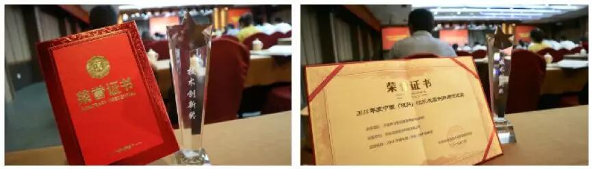 【合作伙伴】遠(yuǎn)傳技術(shù)斬獲杭州市2018年度技術(shù)成果創(chuàng)新與促進(jìn)獎(jiǎng)